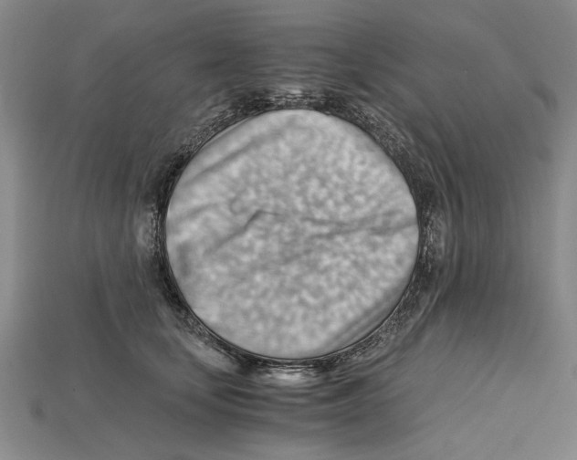 X0000114430659200911131333