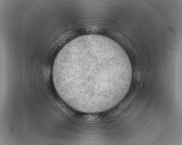 X0000114430660200911131333