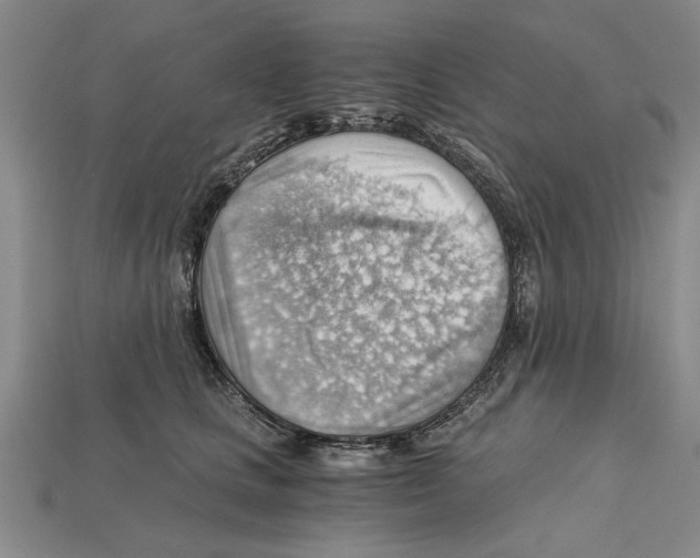 X0000114430661200911131333