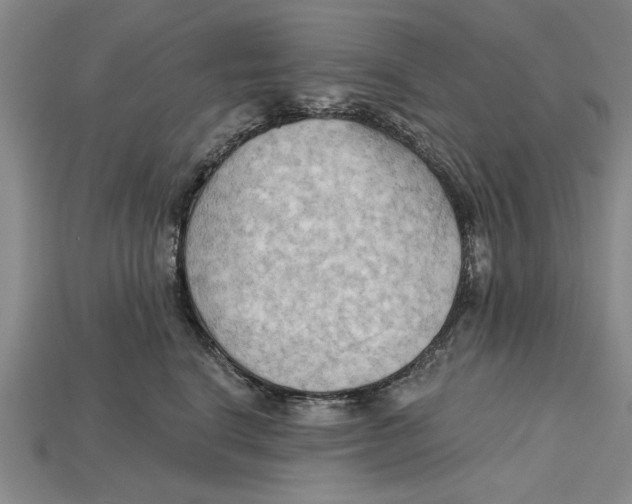 X0000114430664200911131333