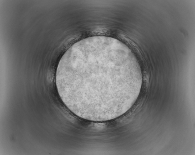 X0000114430665200911131333