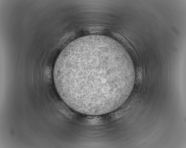 X0000114430667200911131333