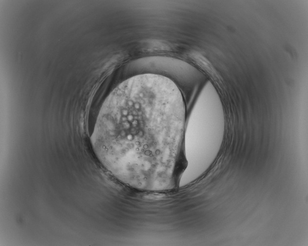 X0000114430669200911131333