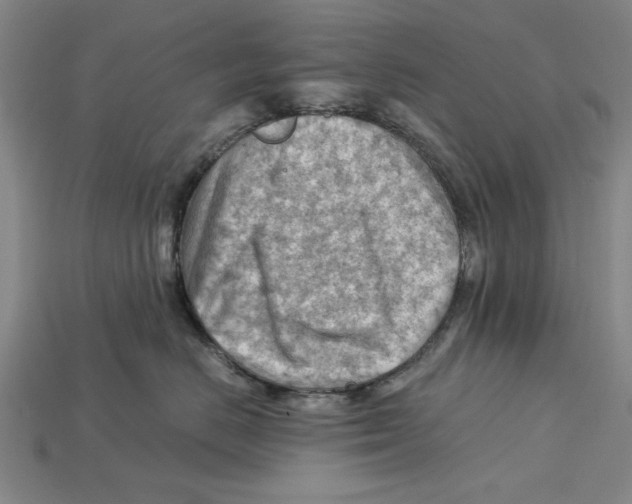 X0000114430670200911131333