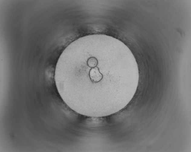 X0000114430672200911131333