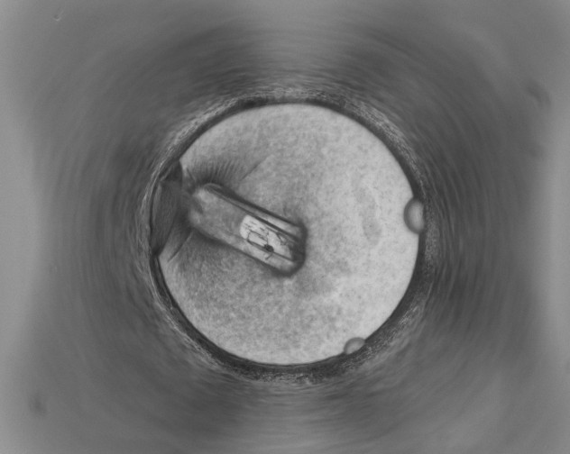 X0000114430673200911131332