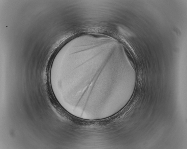 X0000114430674200911131332