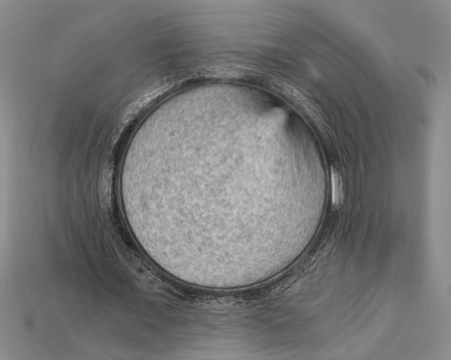 X0000114430675200911131332