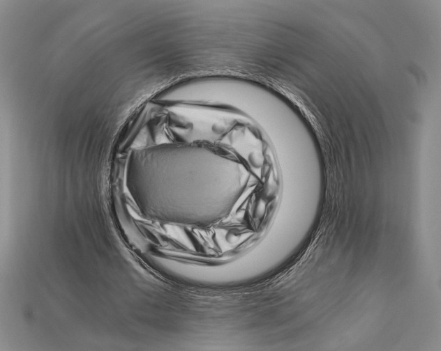 X0000114430677200911131332