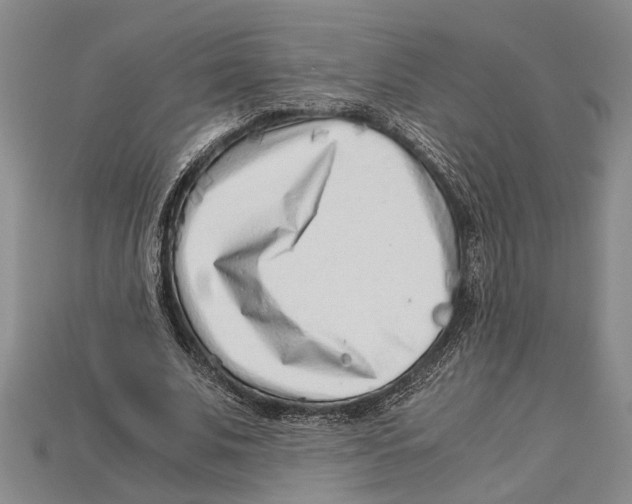 X0000114430679200911131332