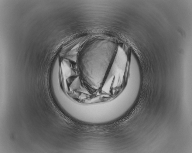 X0000114430681200911131332