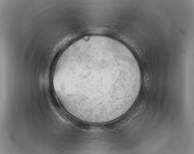 X0000114430682200911131332