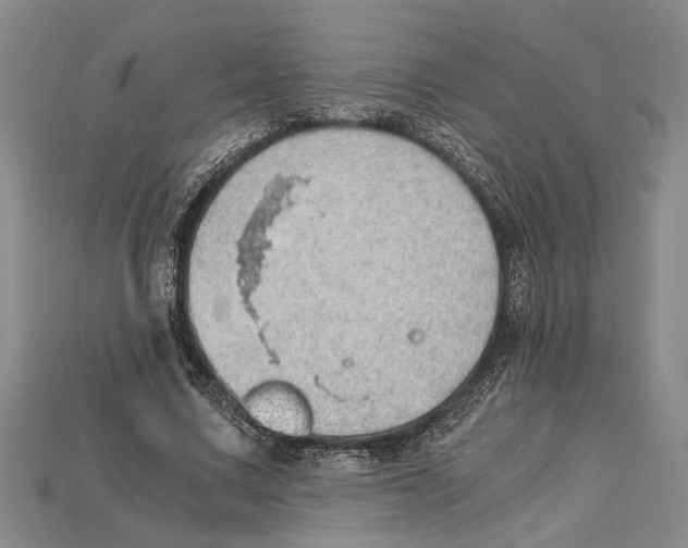 X0000114430683200911131332