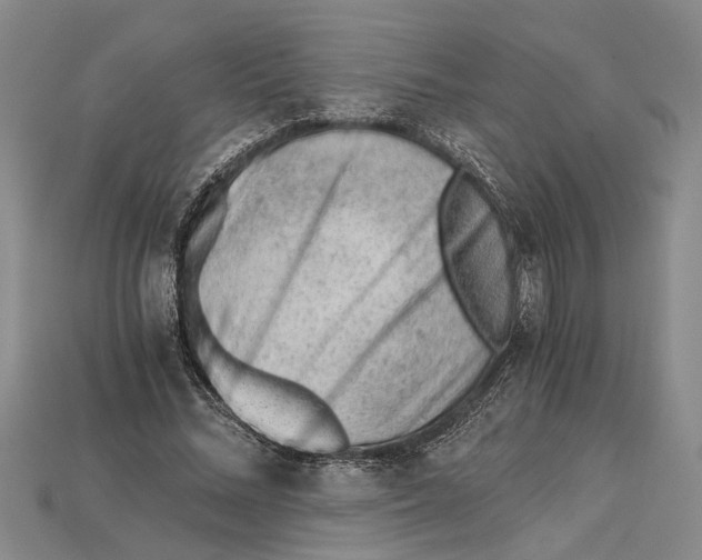 X0000114430684200911131332