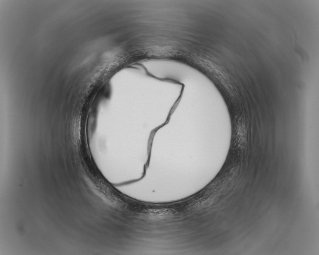 X0000114430686200911131332