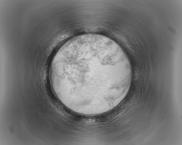 X0000114430687200911131332