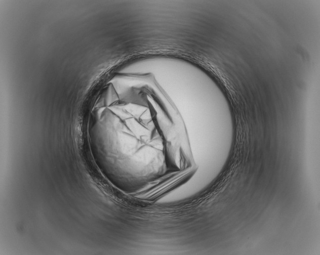 X0000114430688200911131332