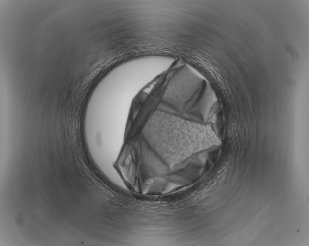 X0000114430689200911131332