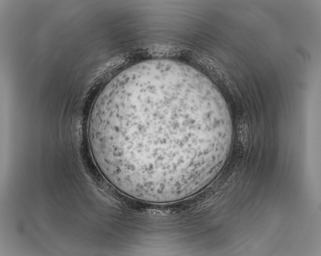 X0000114430690200911131332