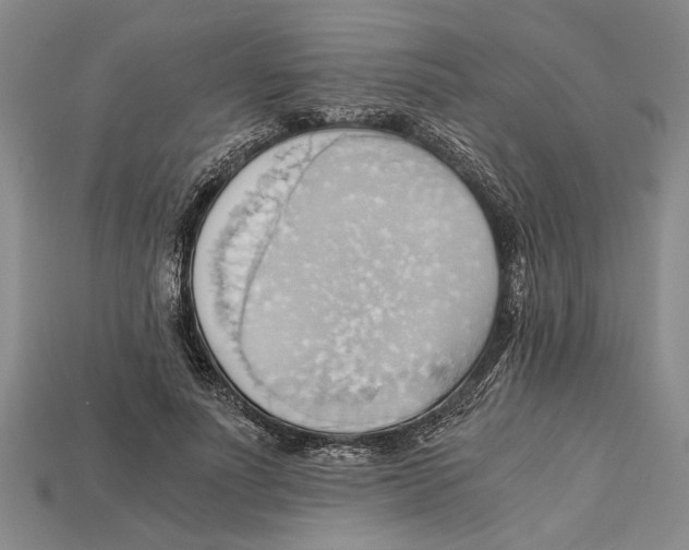 X0000114430691200911131332