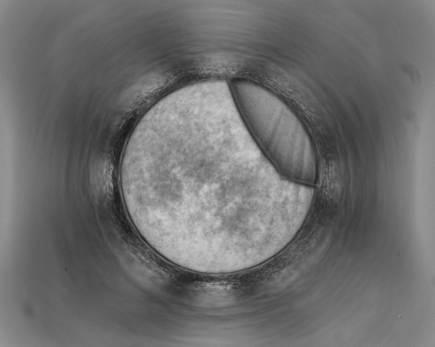 X0000114430692200911131332