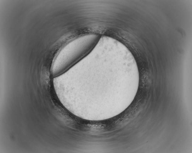 X0000114430693200911131332