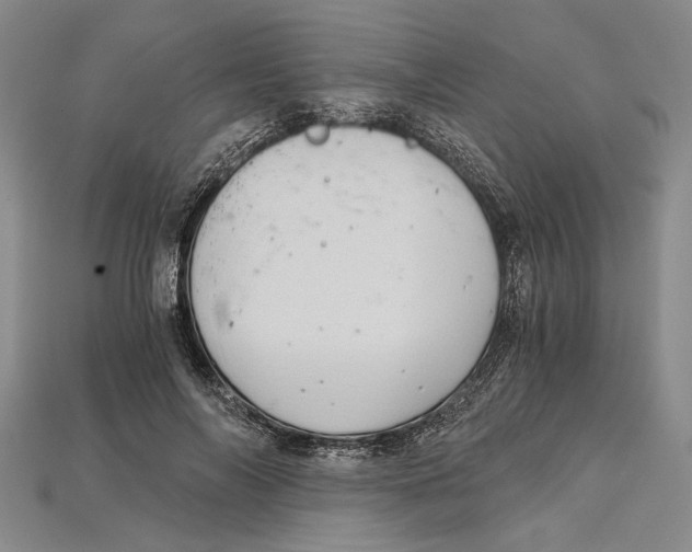 X0000114430694200911131332