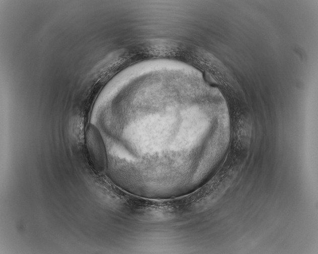 X0000114430696200911131332