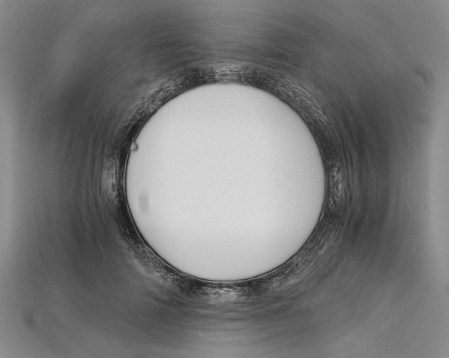 X0000114430698200911131332