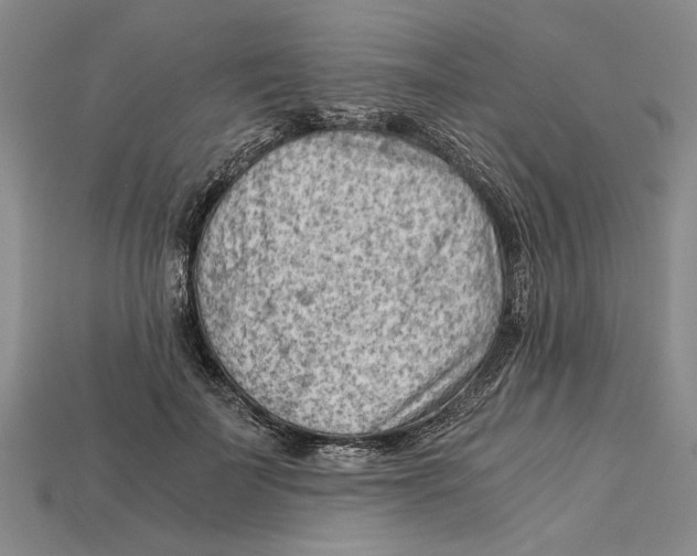 X0000114430699200911131332