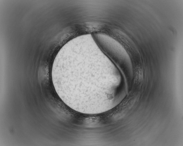 X0000114430700200911131332