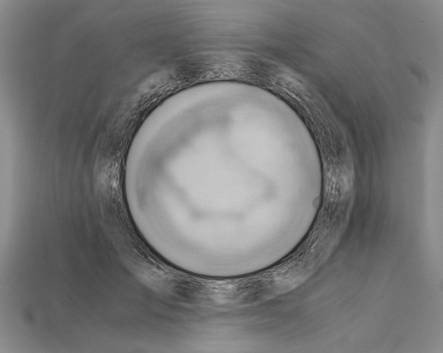 X0000114430701200911131332