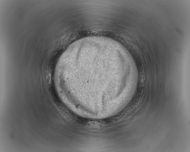 X0000114430703200911131332