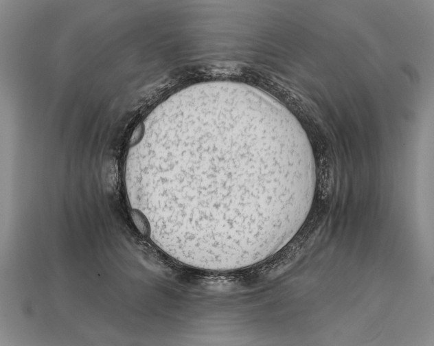 X0000114430704200911131332