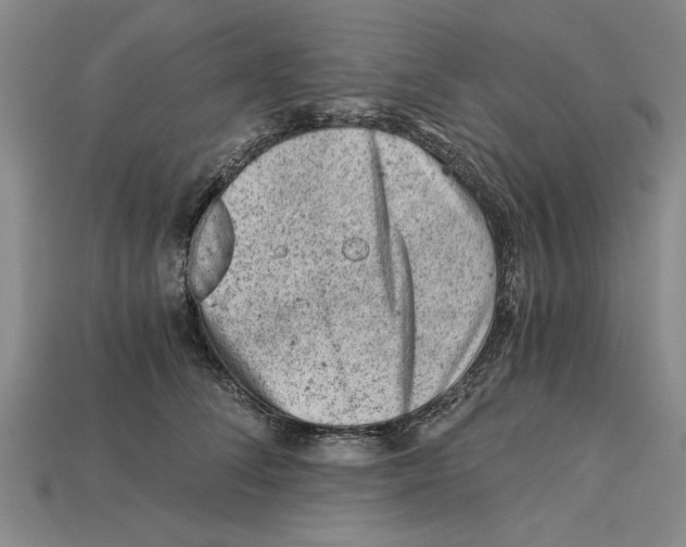 X0000114430708200911131332