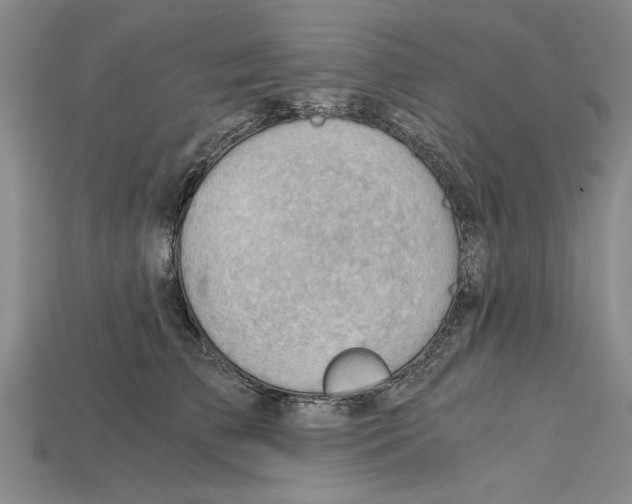 X0000114430709200911131332