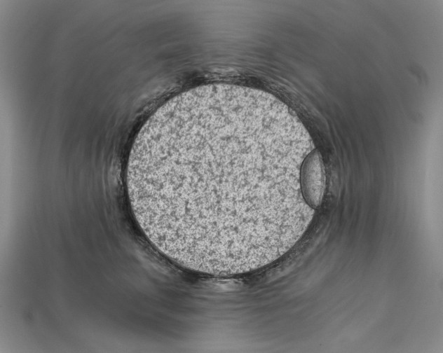 X0000114430711200911131331