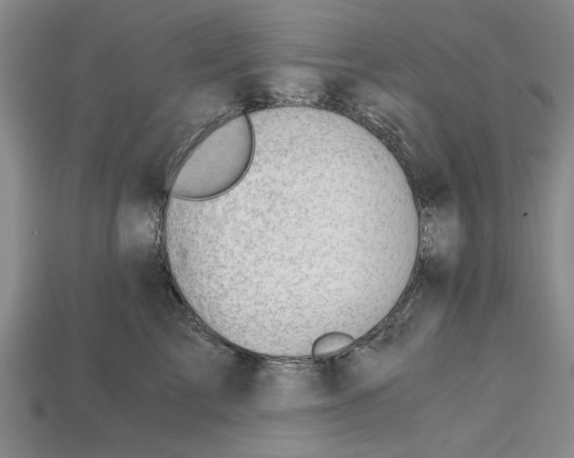 X0000114430713200911131331