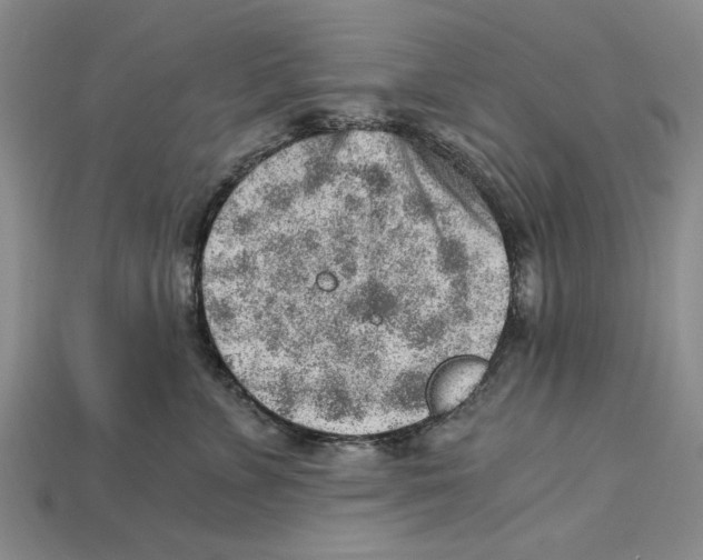 X0000114430715200911131331