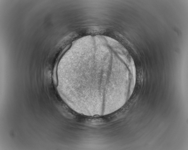 X0000114430716200911131331