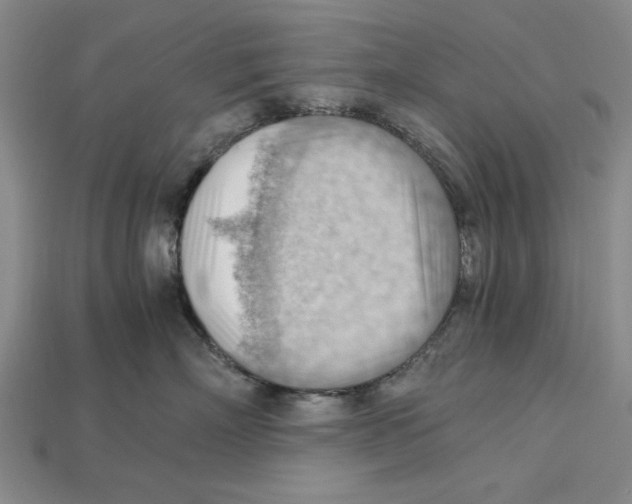 X0000114430718200911131331