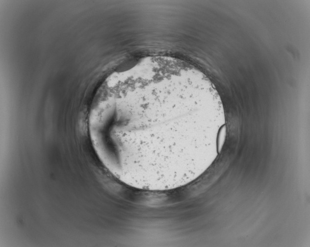 X0000114430719200911131331