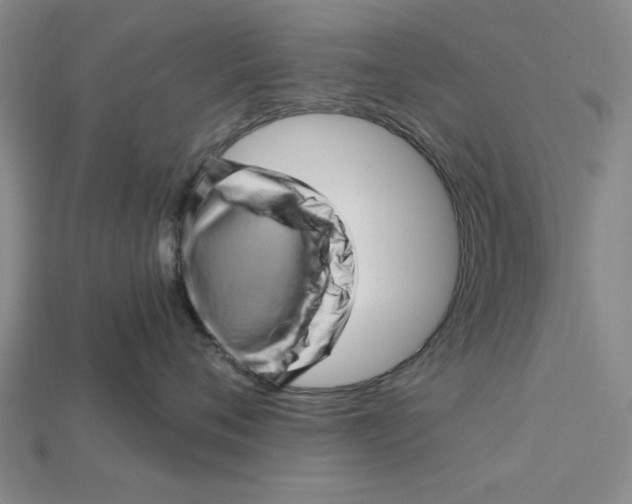 X0000114430720200911131331