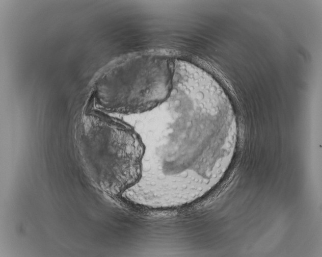 X0000114430721200911131331