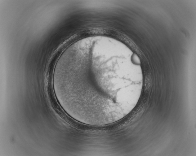 X0000114430722200911131331