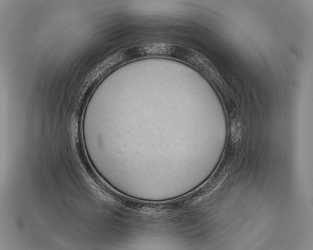 X0000114430725200911131331