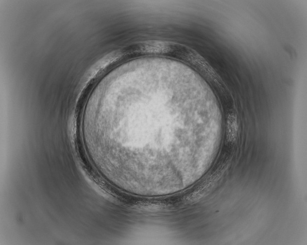 X0000114430726200911131331