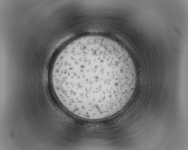 X0000114430727200911131331