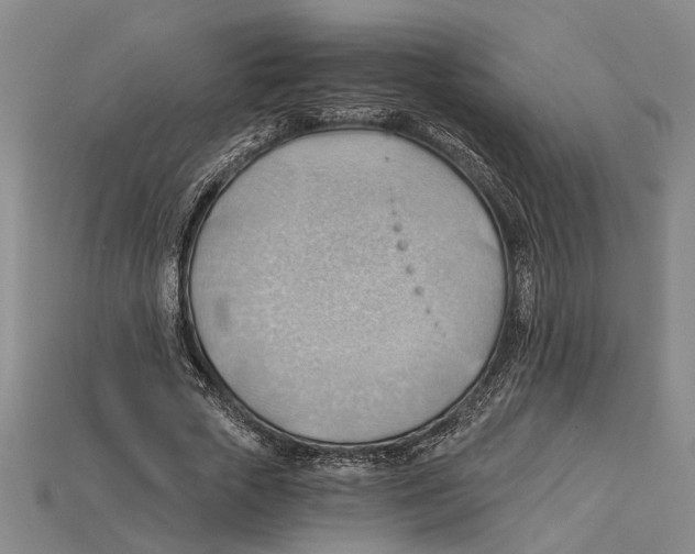 X0000114430729200911131331