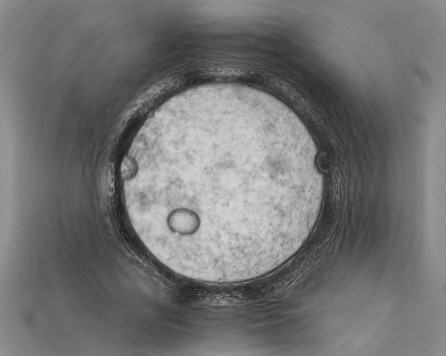 X0000114430731200911131331